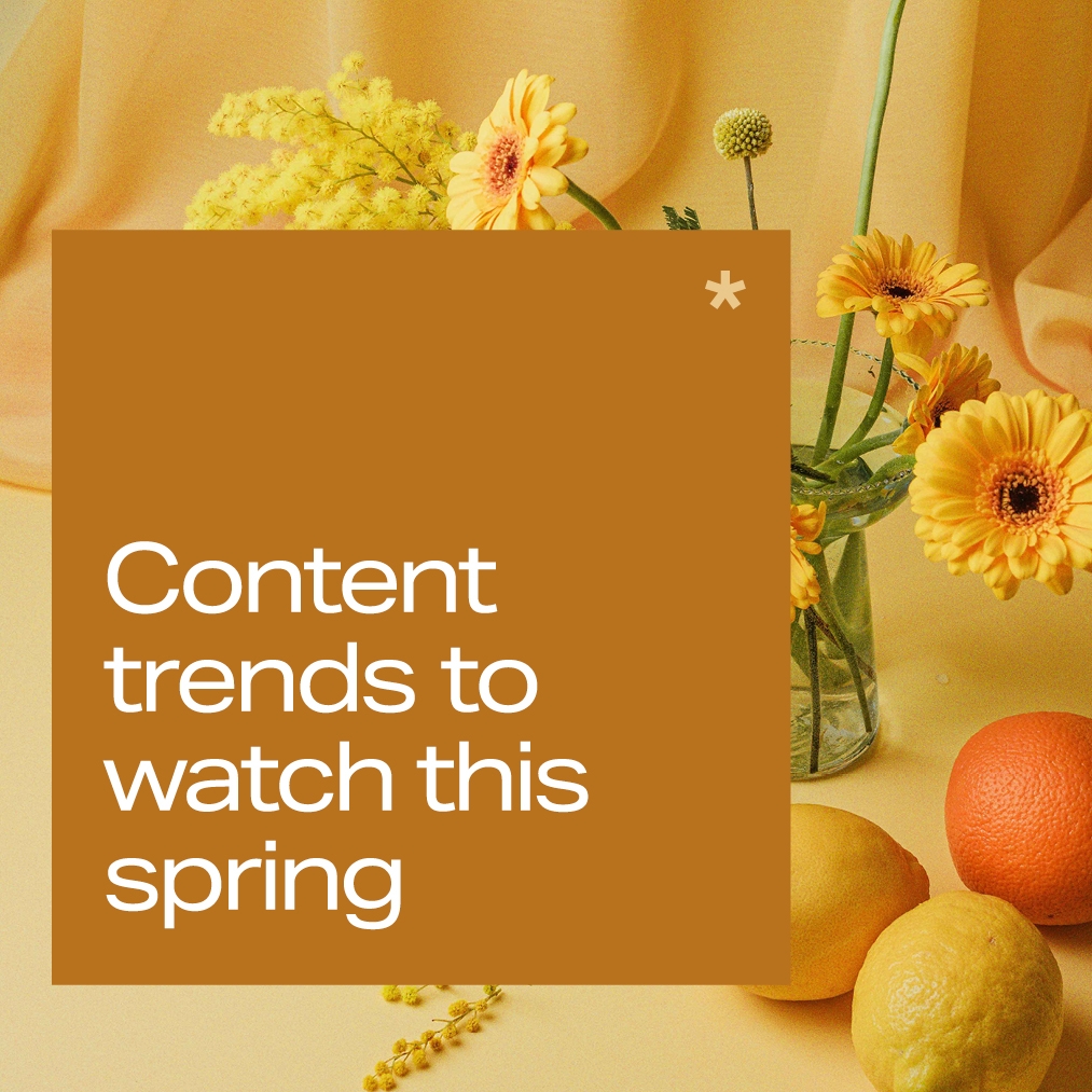 B3738 Bewonder Website Insights Spring Content Thumbnail